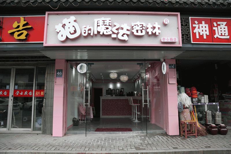 貓的魔法密林加盟門店