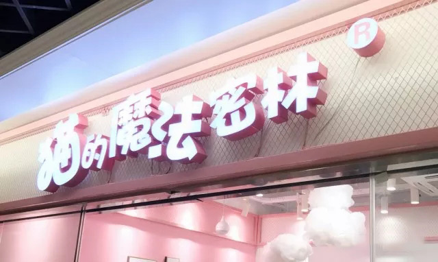 貓的魔法密林加盟門店logo