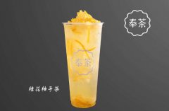 <b>奉茶加盟條件有哪些?奉茶加盟門檻高嗎?</b>